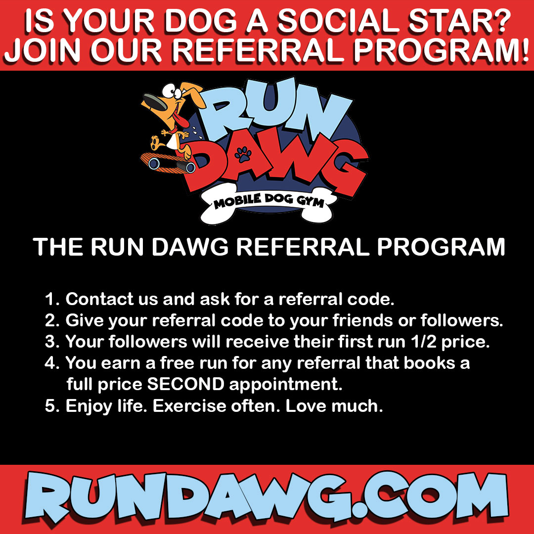 RUN DAWG exercise referral
