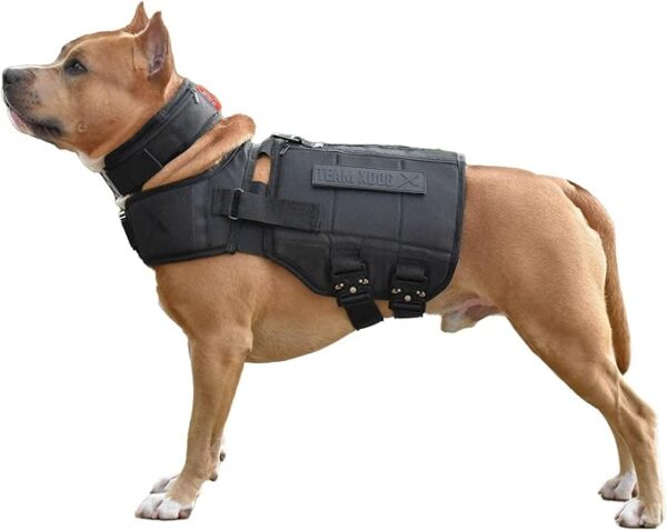 X Dog Weight Vest - Image 2