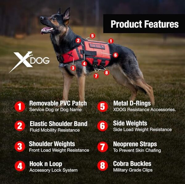 X Dog Weight Vest - Image 4