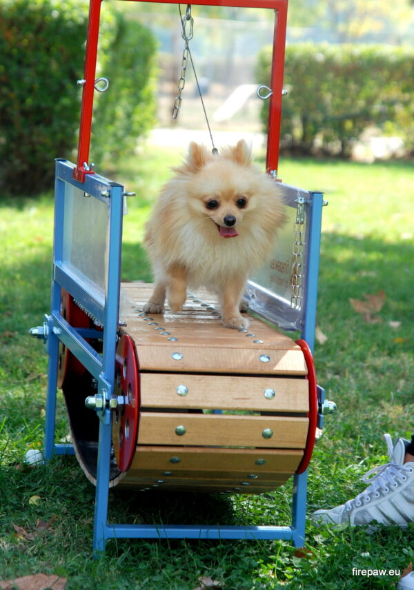 FIREPAW MINI DOGS TREADMILL - Image 4