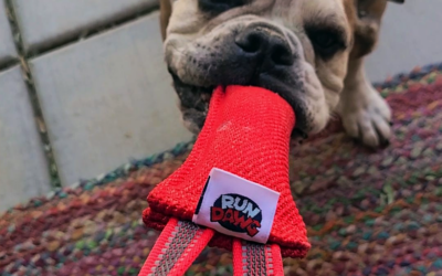 The Best Dog Tug Toys